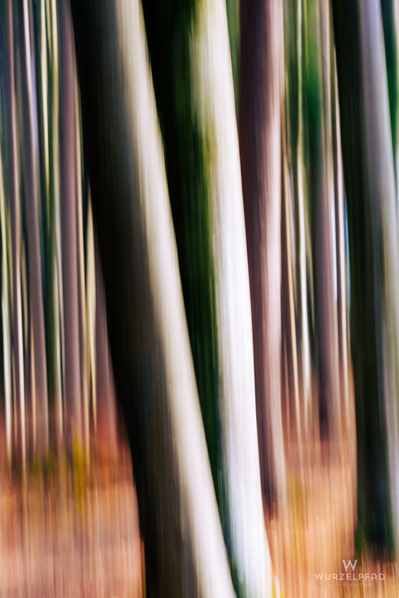 2023 02 18 Blaues Land 0010